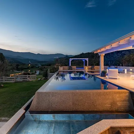 Sara فيلة لوتْسوراي